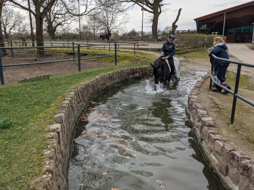Wasserhindernis auf der Reitanlage