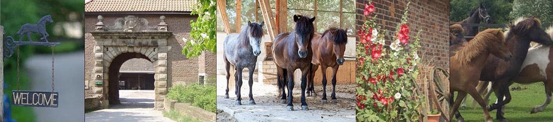 Reitanlage Gut Groß Winkelhausen 1