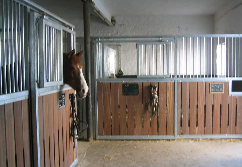 Reitanlage Gut Groß Winkelhausen 3