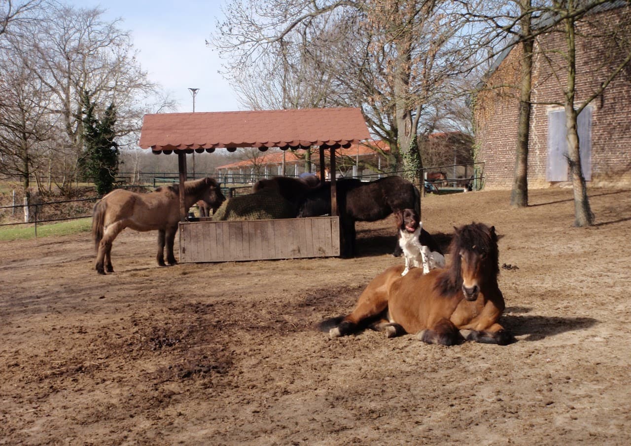 Reitanlage Gut Groß Winkelhausen 5