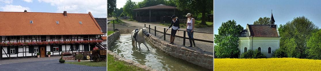 Paddocks & Bewegung